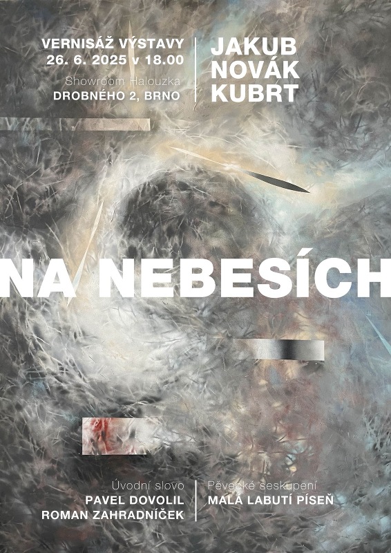 Malá labutí píseň na vernisáži výstavy Na nebesích