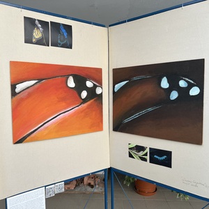 Fotografie 3474