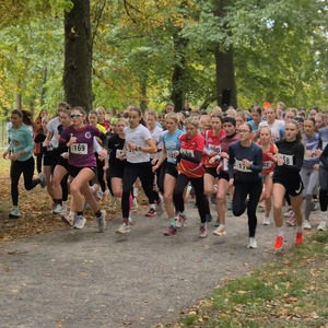 Fotografie 5309